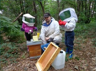 photo de apibee.fr, Frdric Limouzin
